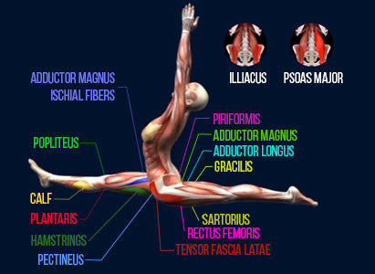 Which Split is Easier: Front Split vs Side Split – Journey to Mobility