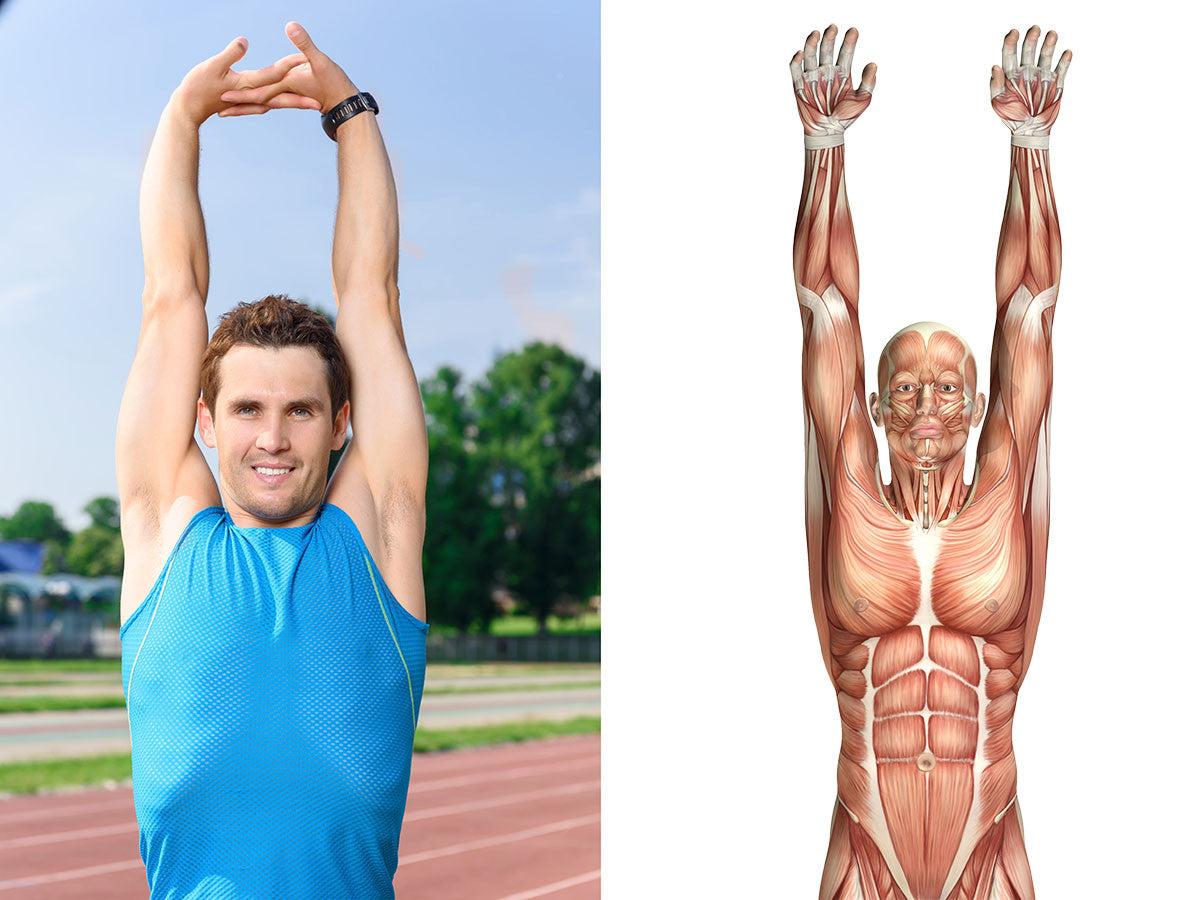 shoulder flexion overhead flexibility stretching