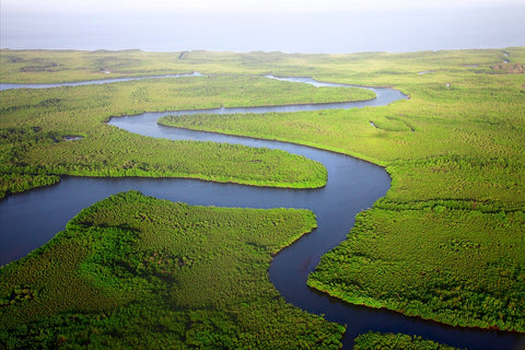 Aerial View of River System