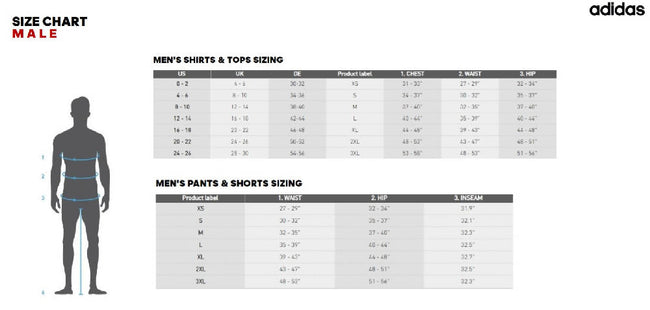 adidas pants mens size chart