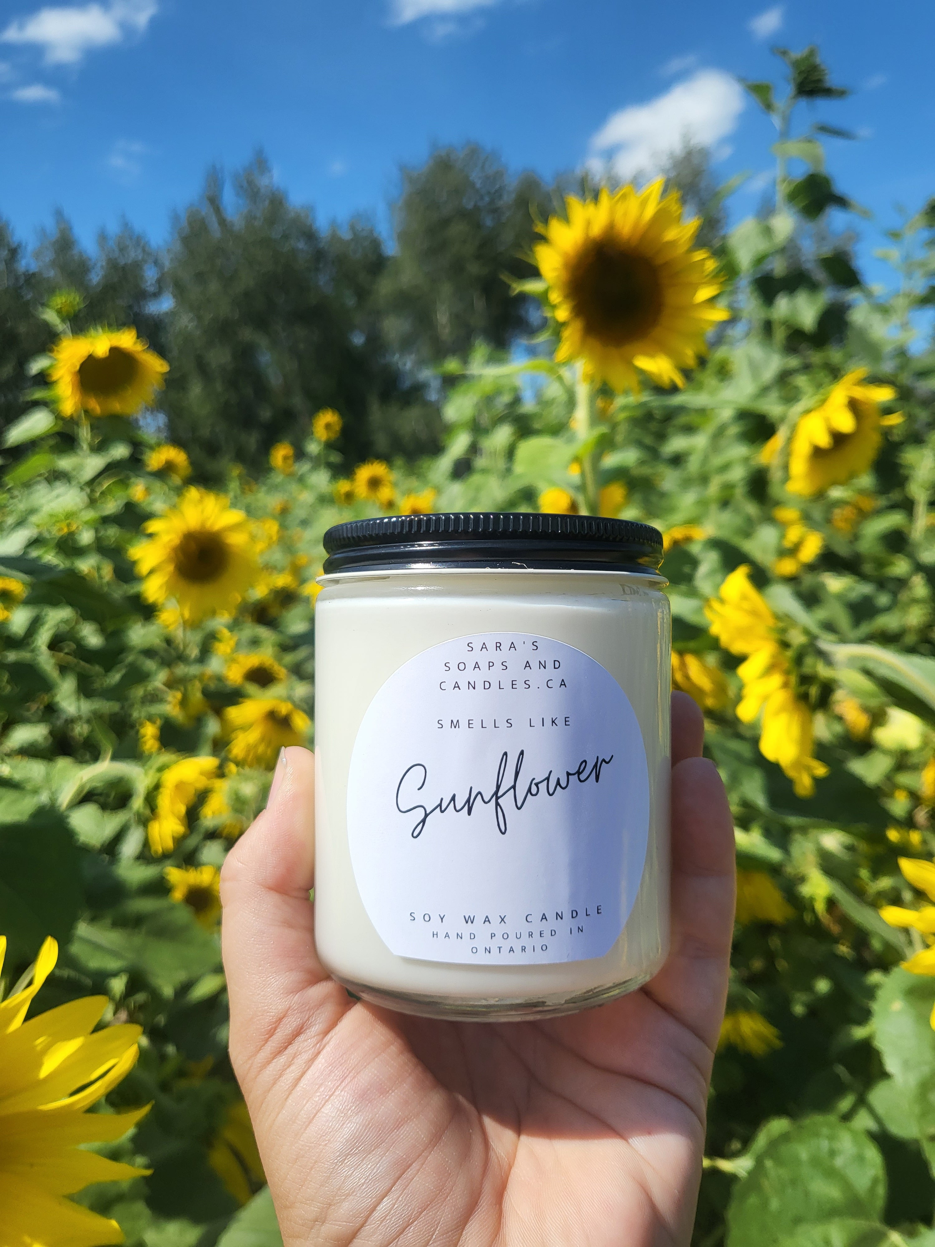 image for Sunflower candle 8oz