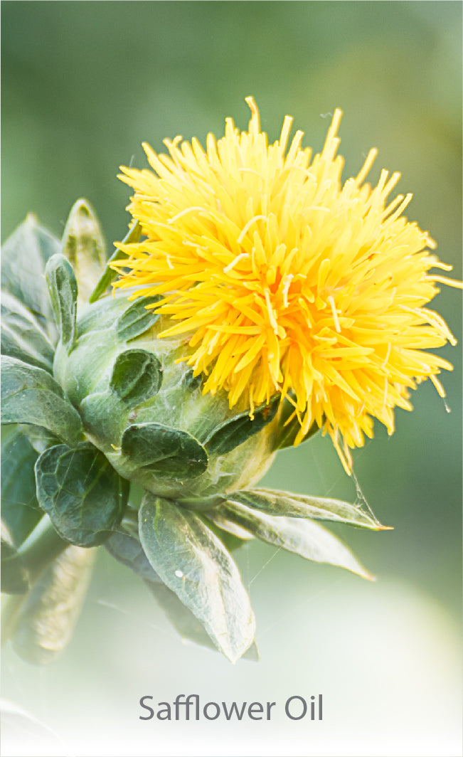 Safflower Oil