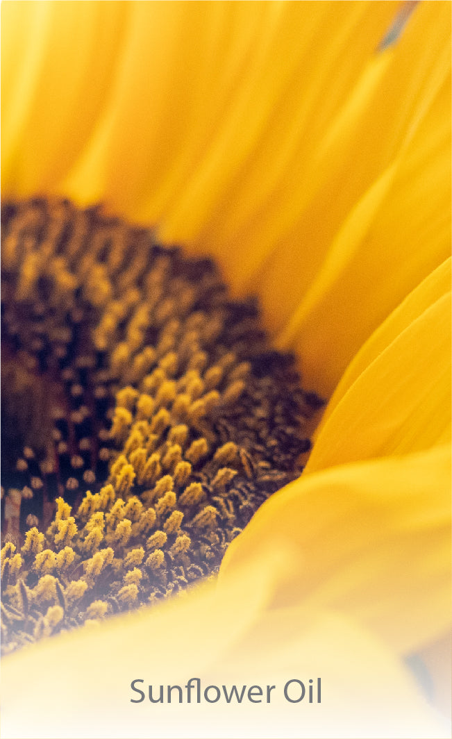  Sunflower Oil 