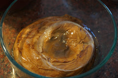 SCOBY for Two Leaves Kombucha