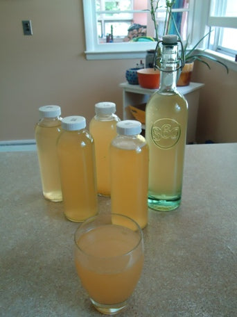 Jun tea in jars