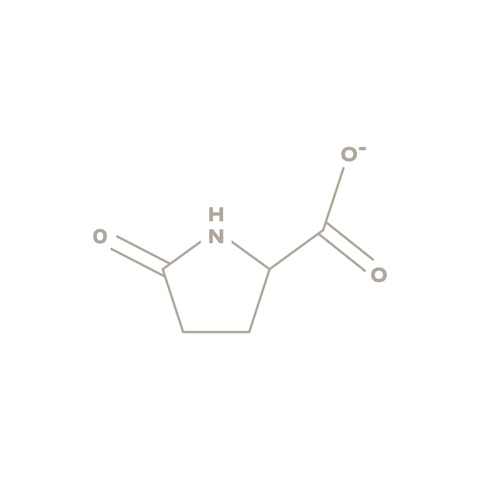 Sodium PCA compound illustration