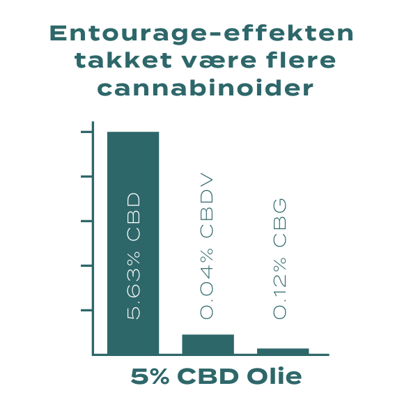 Entourage-effekten takket være flere cannabinoider