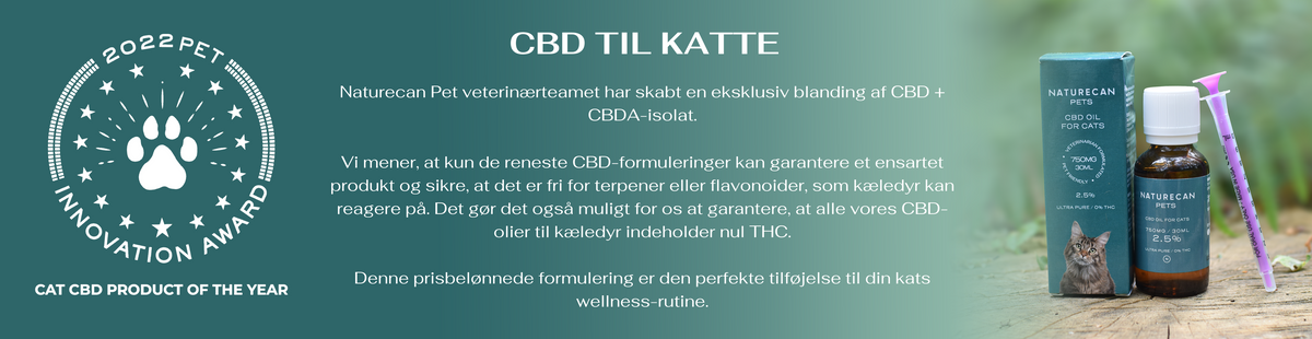 CBD produkter til katte