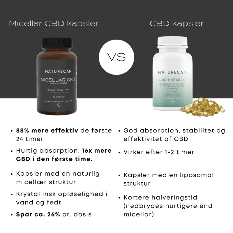 Micellar CBD kapsler vs. CBD kapsler