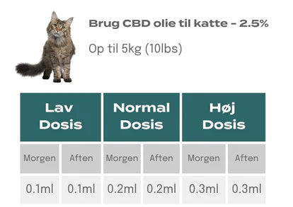 Uendelighed mikrobølgeovn Vestlig CBD Olie Til Katte | Blog | Naturecan – Naturecan DK