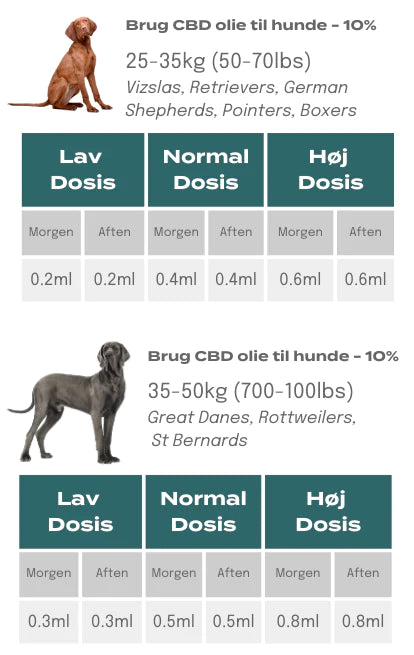 CBD-dosering til hunde, der vejer mellem 25 og 50 kg