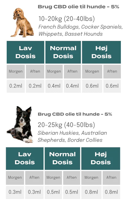 CBD-dosering til hunde, der vejer mellem 10 og 25 kg