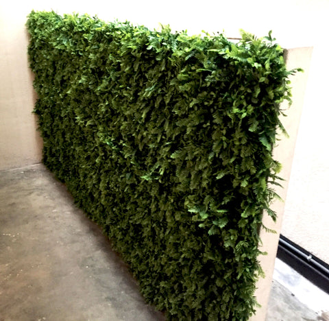 Vertical Gardens