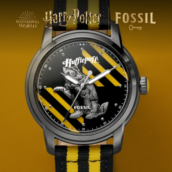 HARRY POTTER EDITION – The Watch House