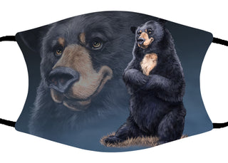 15cm x 12cm Adorable Sitting Bear Face Mask