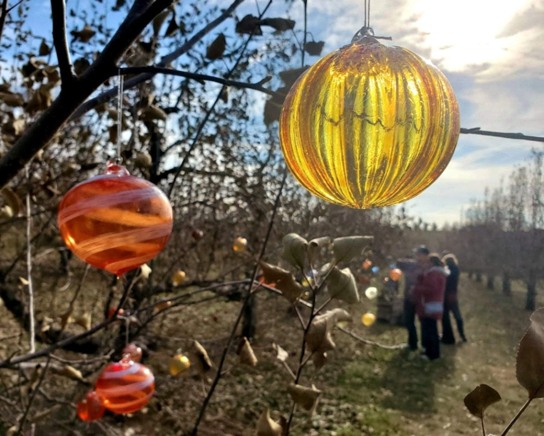 A beautiful glass orchard with ornaments hung in the apple trees