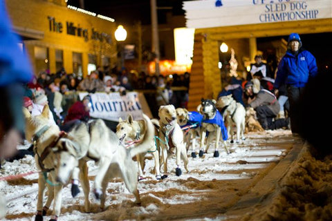 Sled Dogs, Valentine