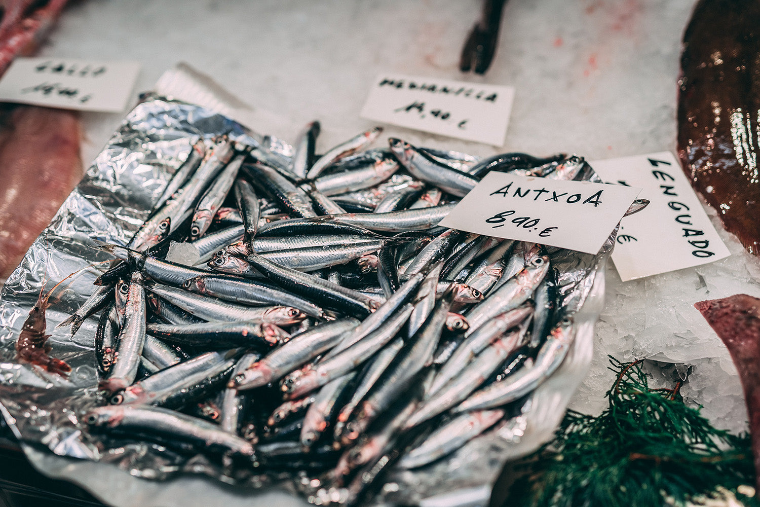 Ansjos fra iskalde farvann gir den beste sammensetning av Omega-3 fettsyrer. 