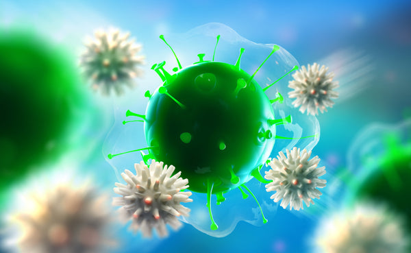 virus hvite blodceller sanomega sanmagnesium