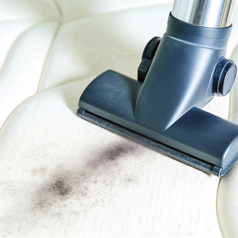 A vacuum cleaner removing dirt from a mattress