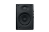 Buy Swans D1010-IV 2.0 Bookshelf Speakers at HiFiNage in India with warranty.