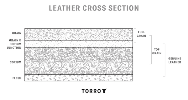 Leather Cross Section Illustration