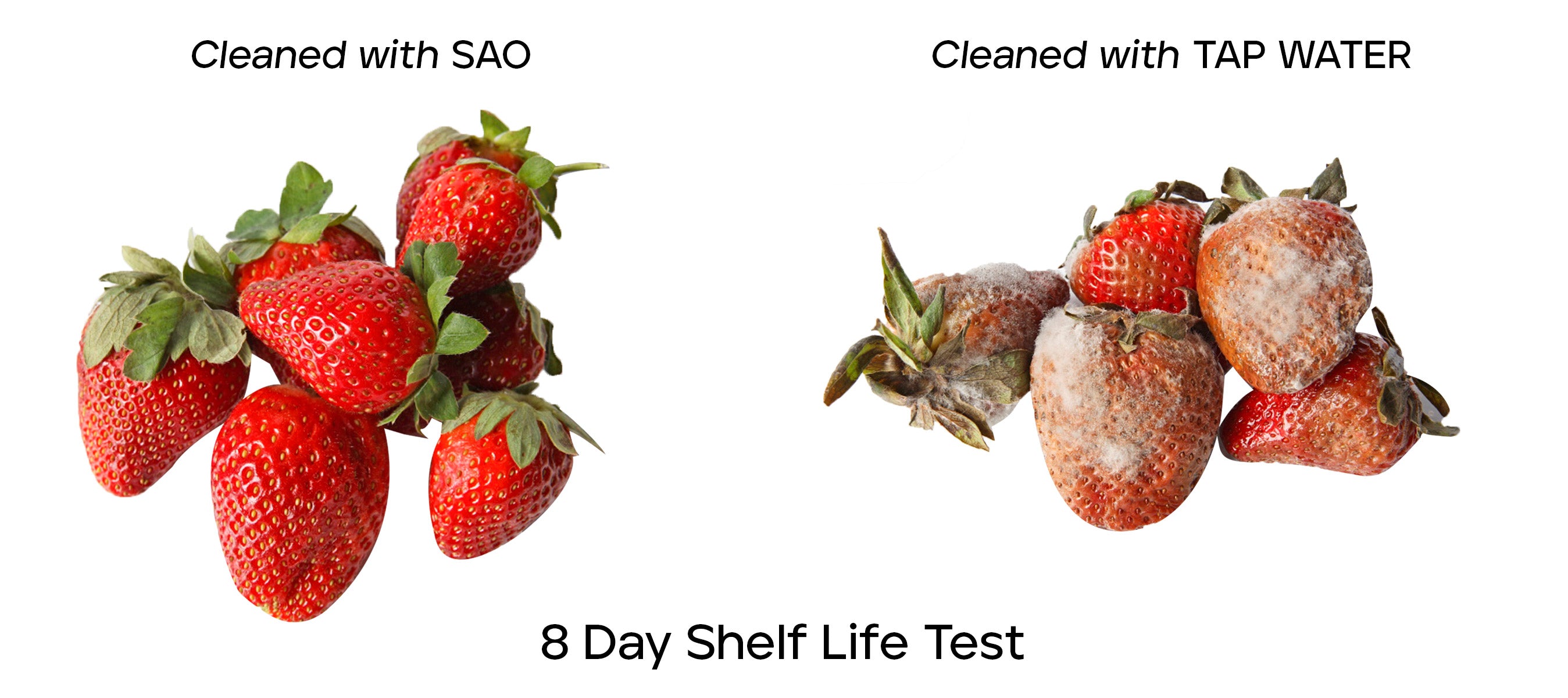 Keep food fresh. Ozone in food processing. Ozone is safe for food. Strawberries last longer with stabilized aqueous ozone. 8 day shelf life test.
