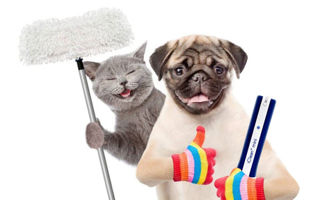 Household cleaners are toxic. Stabilized Aqueous Ozone pet safe cleaner. Dog and cat with SAO.