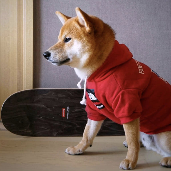 pupreme dog shirt