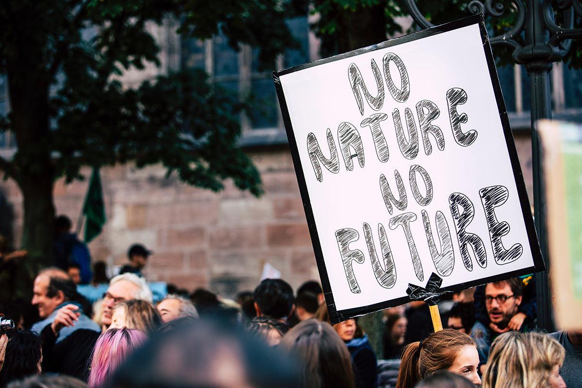 Climate crisis protest sign - No Nature, No Future.
