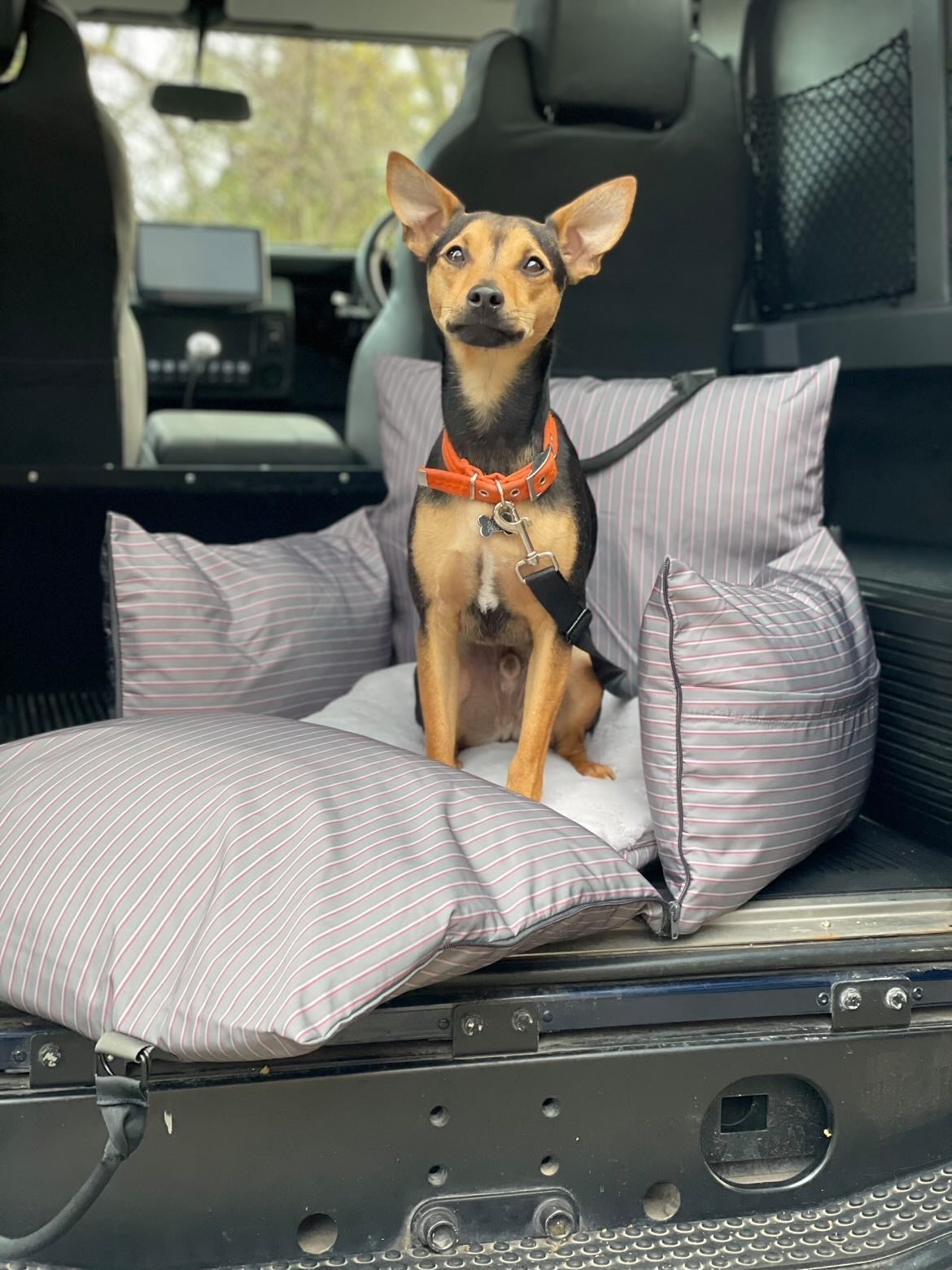 Pup Pod, Luxury Car Dog Beds, Pet Travel Seat - Luther Bennett