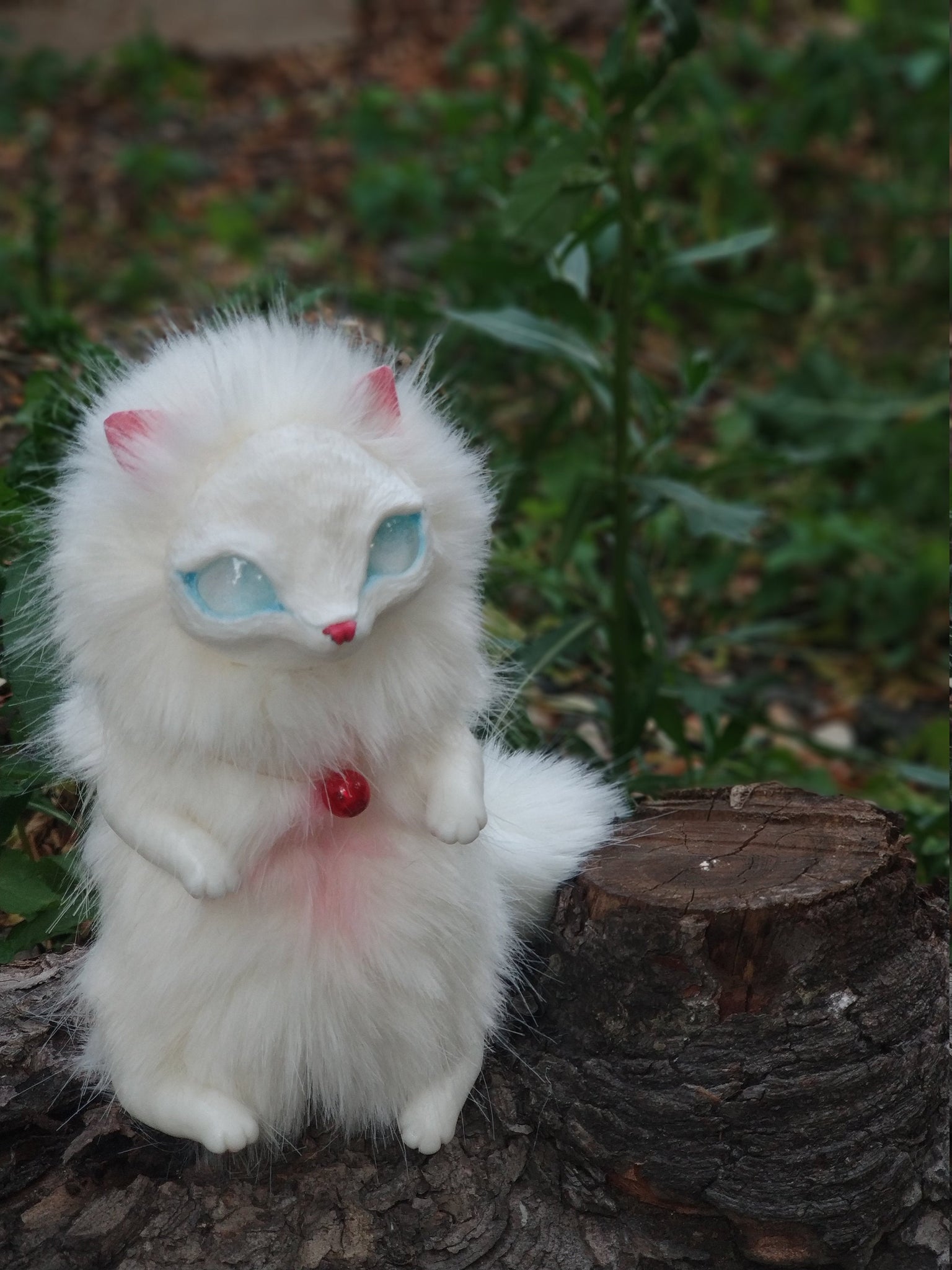 albino cat