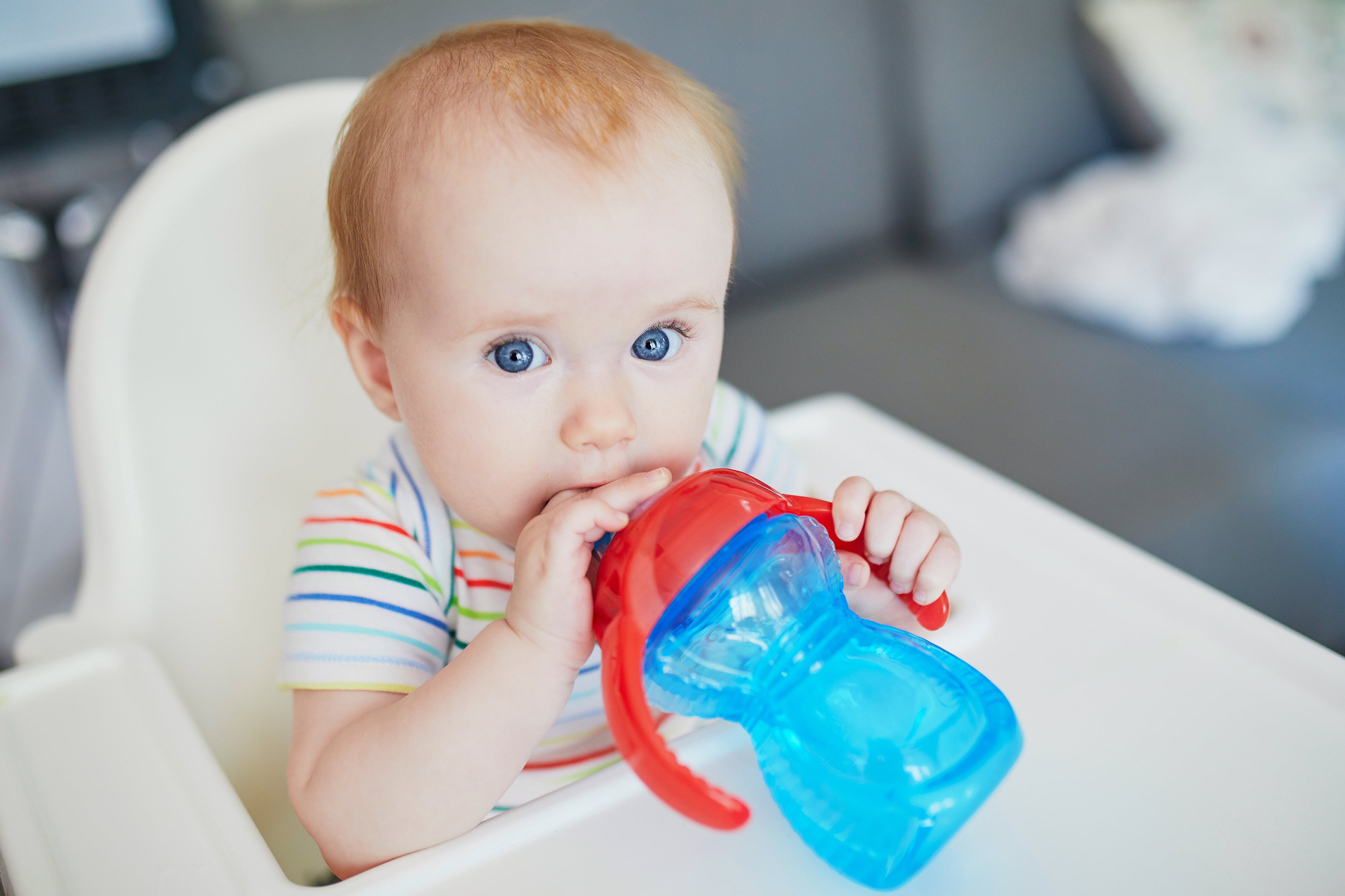 A baby with reddish blond hair and blue eyes sitting in a white plastic high chair sipping on water from a blue and red sippy cup.