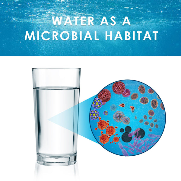 microbes in water