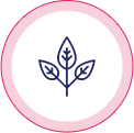 badge emoji of leaves on a small twig to show that Lubilicious is sustainable and suitable for all skin types, hypoallergenic lube