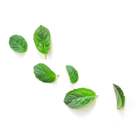 grouping of mint leaves - peppermint is the main ingredient in Fireworks - Lubilicious clitoral stimulation gel