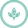 badge emoji of leaves on a small twig to show that Lubilicious is sustainable and suitable for all skin types, hypoallergenic lube