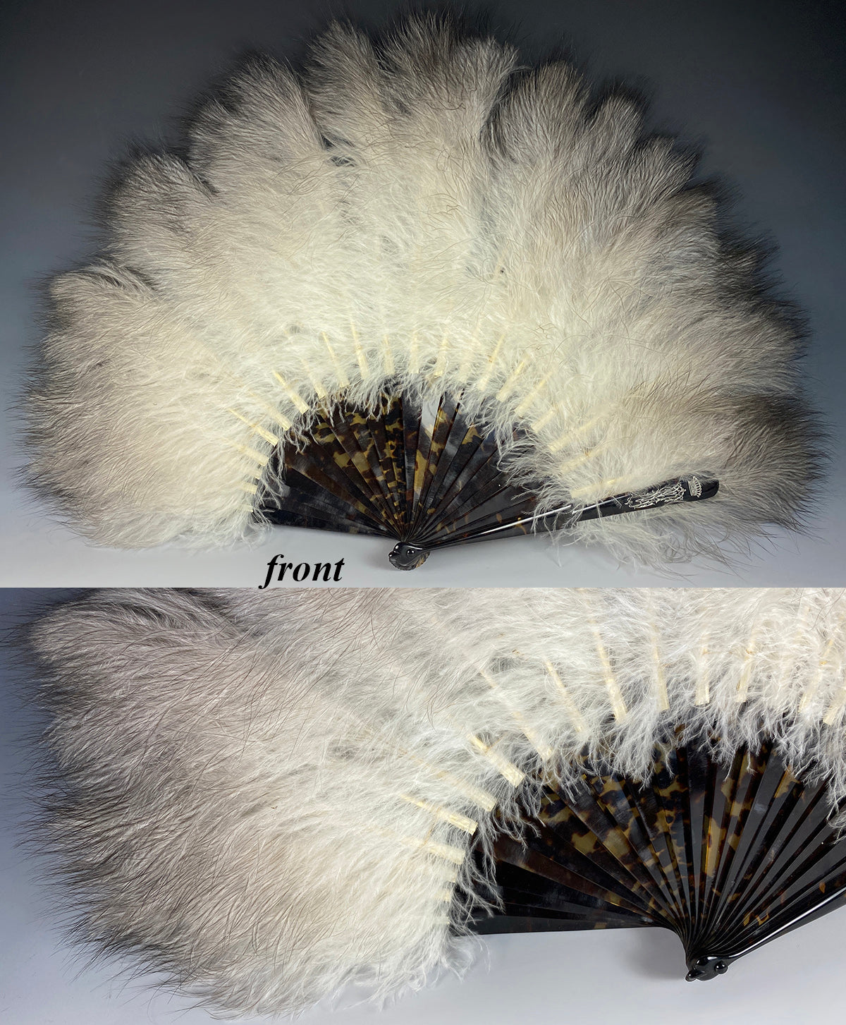 ostrich feathers fan