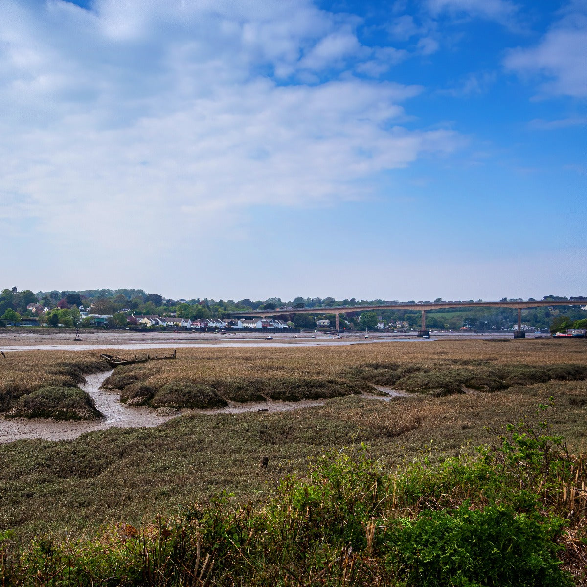 The view across The River Torridge from The Tarka Trail, Devon