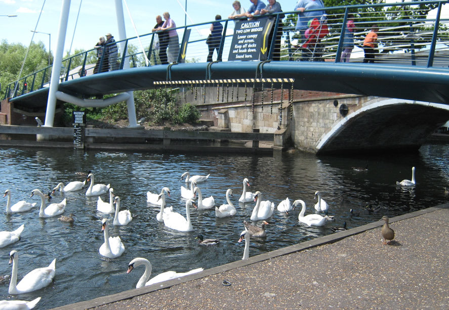 Trains, Boats and Buses - Norfolk Broads