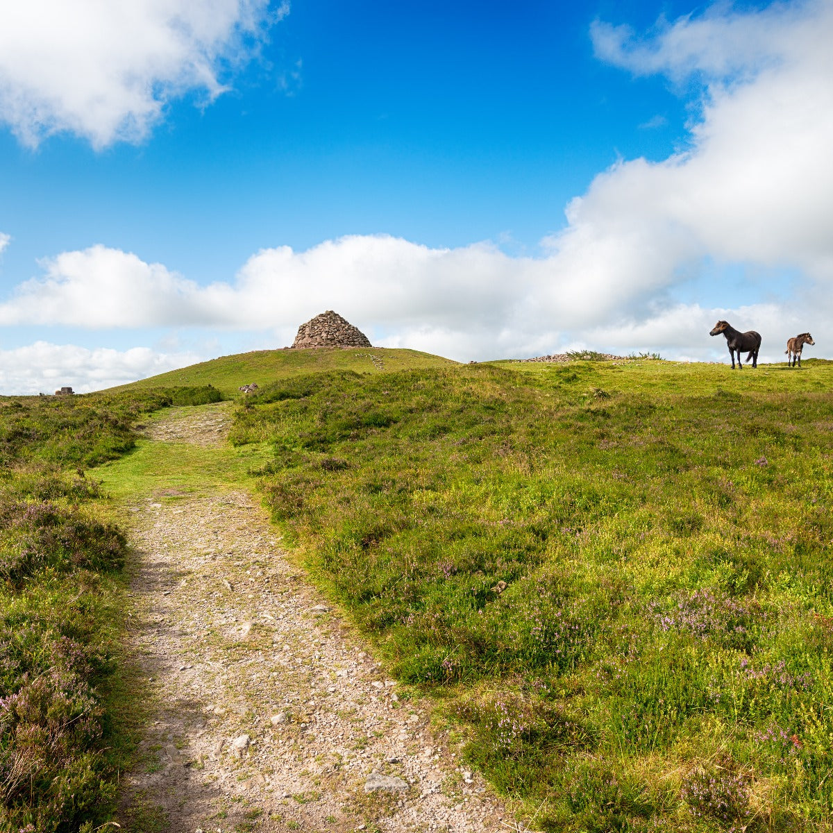 Dunkeld Beacon, the highest point on Exmoor