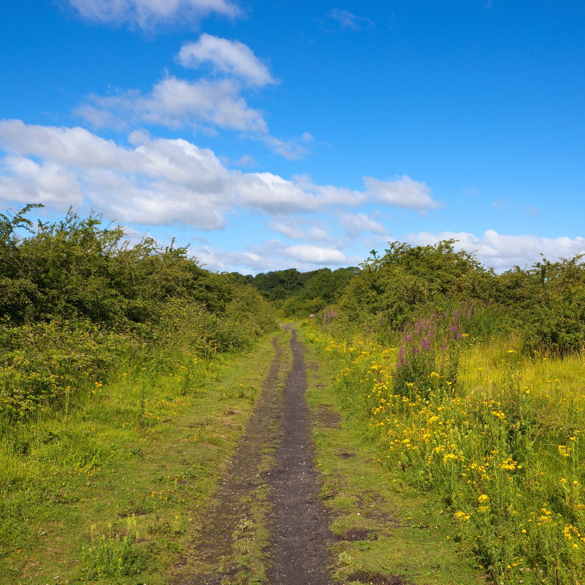 Explore the Yorkshire countryside on a cycling Trail