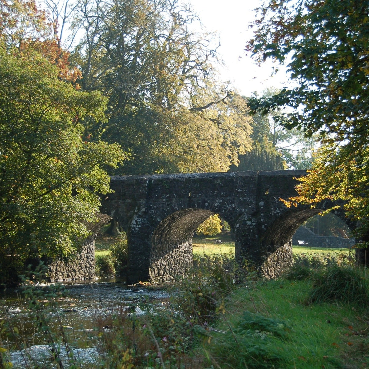 A river and bridge in Antrim Castle grounds