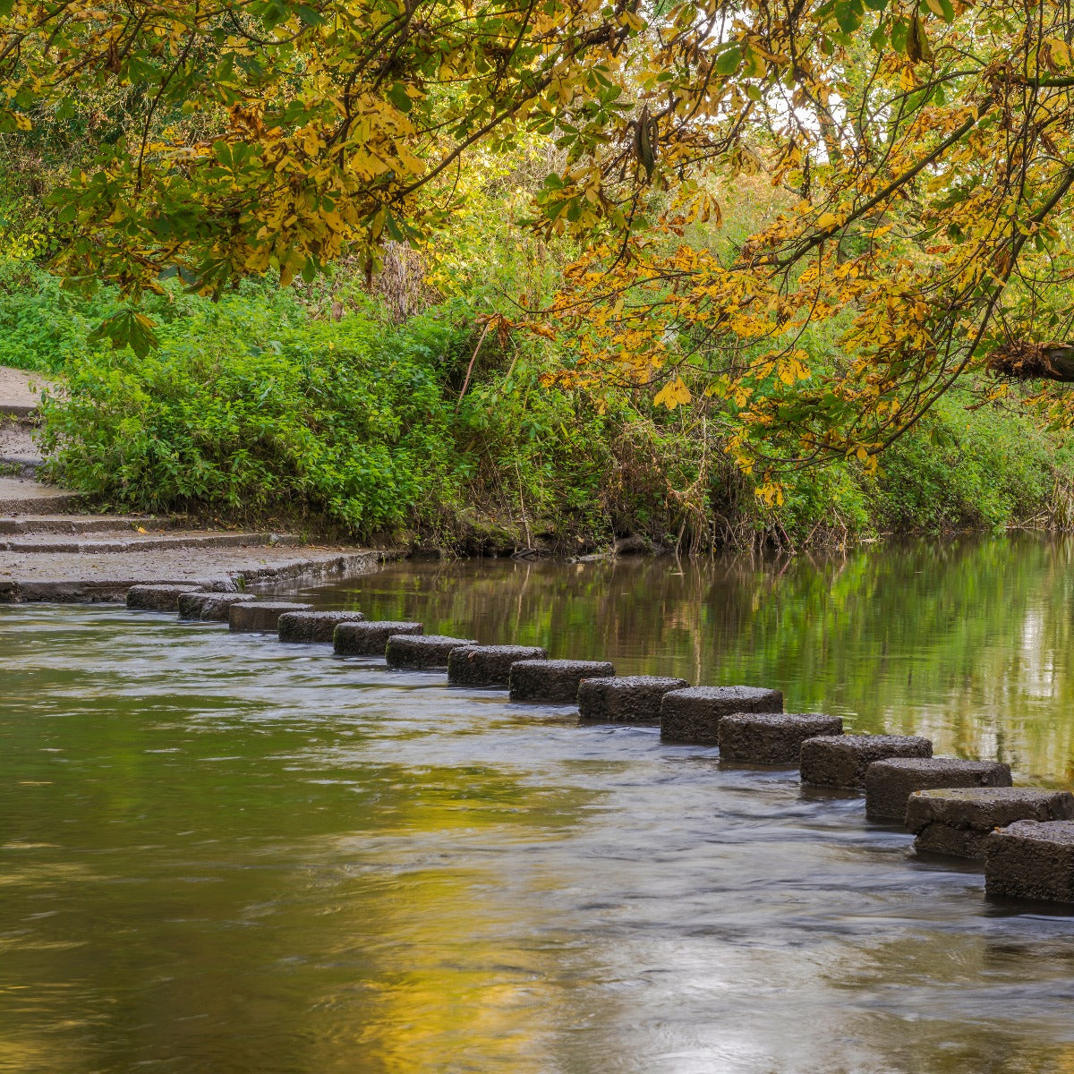 The stepping stones over the River Mole