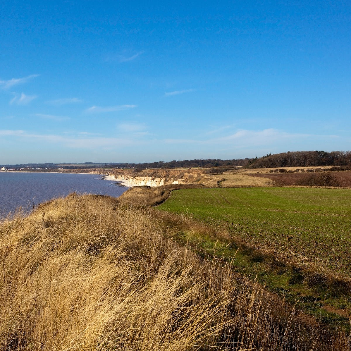 The coastline at Danes Dyke