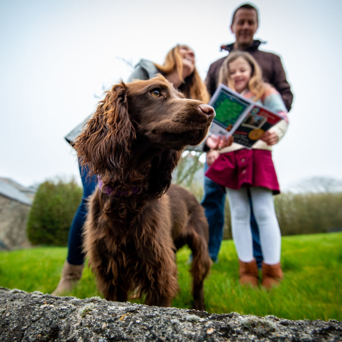 Explorer guard dog - keeping watch while you solve the clue