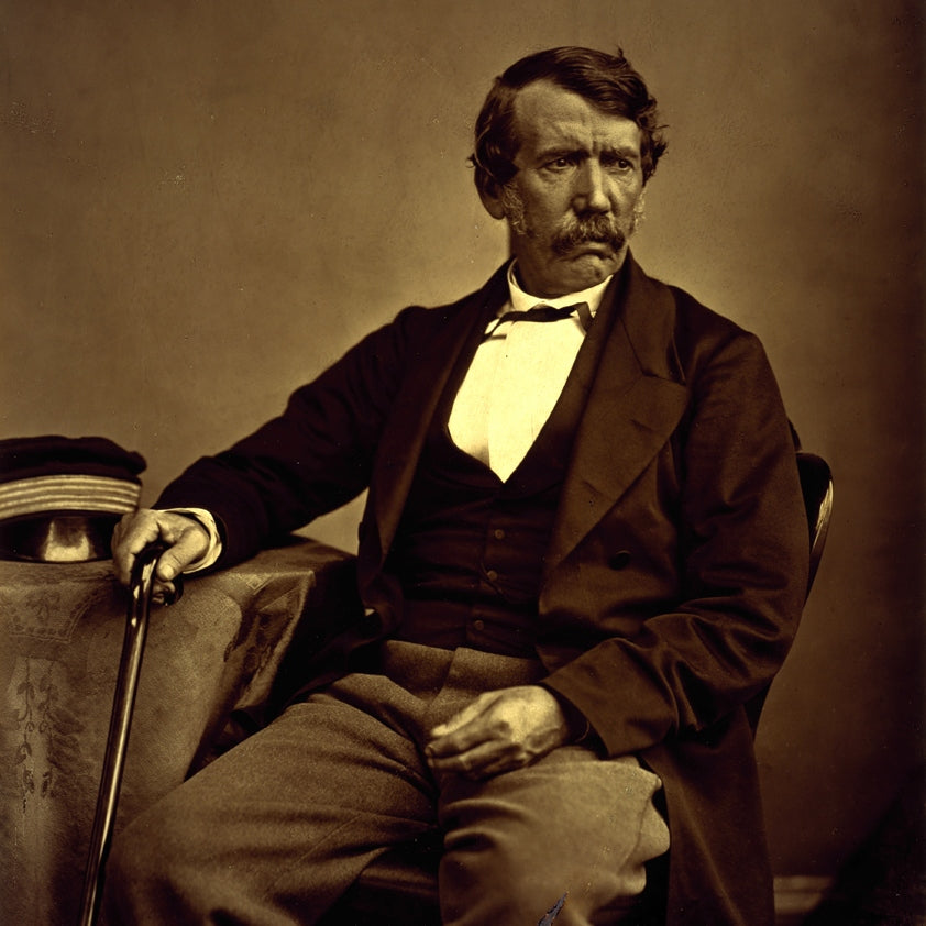 Dr David Livingstone