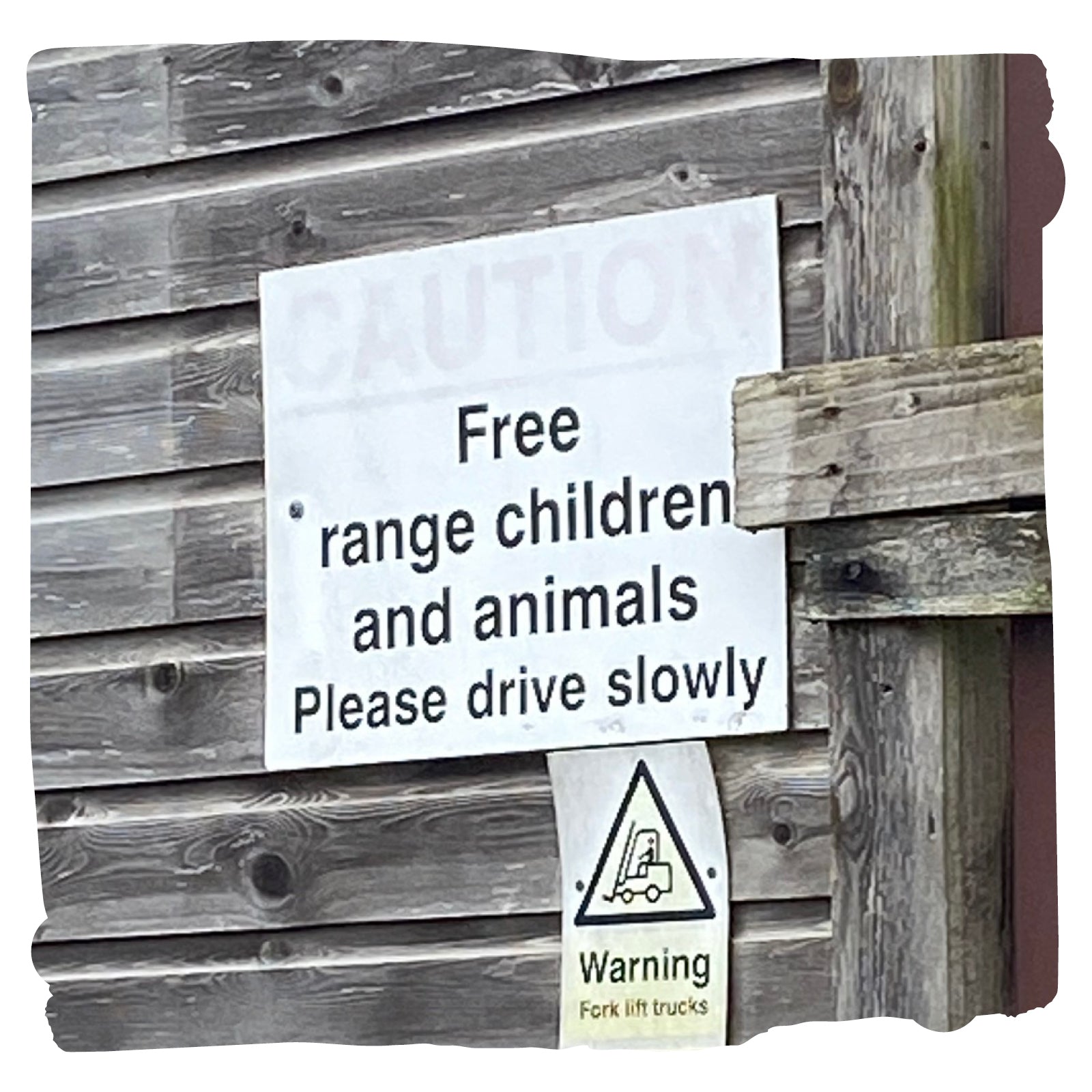 Free Range Children nr Tenby Silly Sign