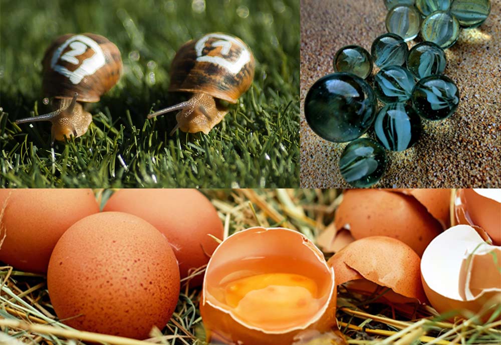 Try out snail racing, marbles or egg throwing!