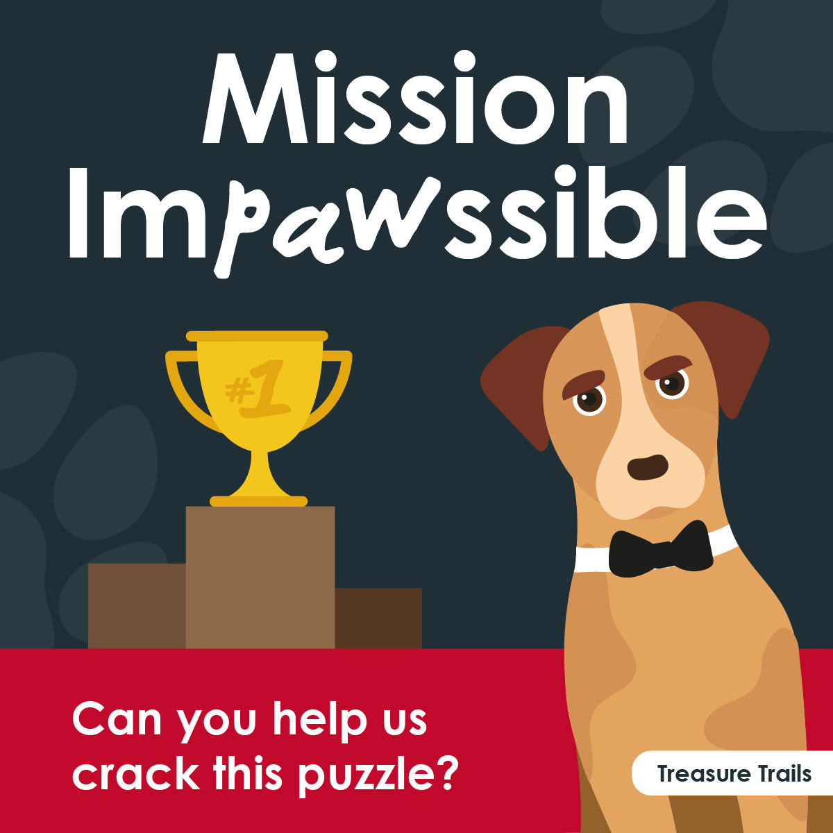 Mission Impawssible - Can you help us crack this puzzle?